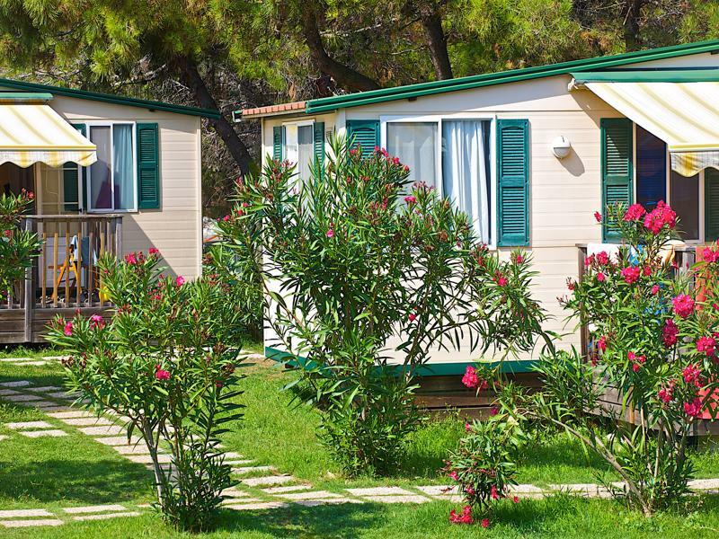 Arena Stupice Homes